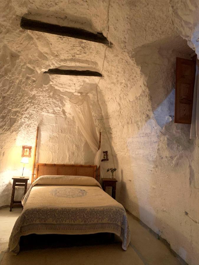 فيلا Benamaurelفي Cueva El Mirador Geoparque De Granada المظهر الخارجي الصورة